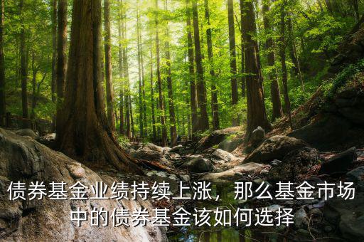 債券基金業(yè)績持續(xù)上漲，那么基金市場中的債券基金該如何選擇