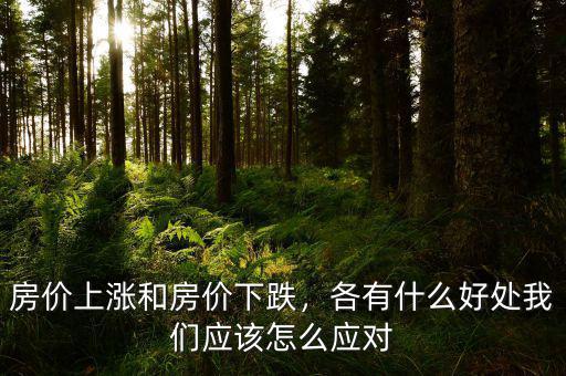 房?jī)r(jià)上漲和房?jī)r(jià)下跌，各有什么好處我們應(yīng)該怎么應(yīng)對(duì)