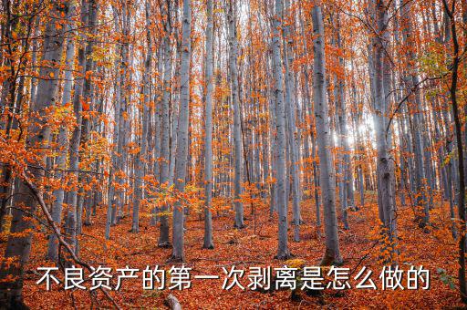 不良資產的第一次剝離是怎么做的