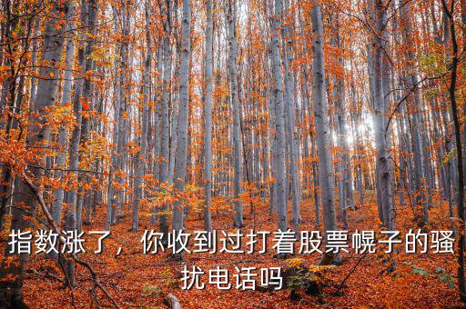 指數(shù)漲了，你收到過打著股票幌子的騷擾電話嗎
