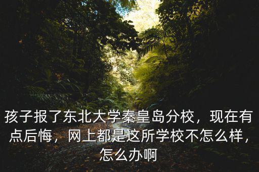 孩子報(bào)了東北大學(xué)秦皇島分校，現(xiàn)在有點(diǎn)后悔，網(wǎng)上都是這所學(xué)校不怎么樣，怎么辦啊