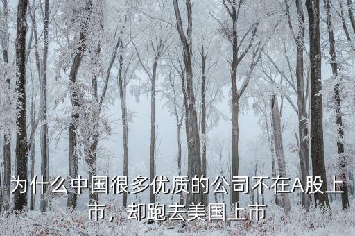 不盈利為什么能在美國(guó)上市,卻在美國(guó)上市。為什么