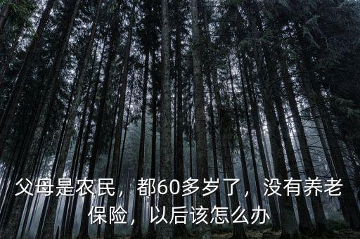 父母是農(nóng)民，都60多歲了，沒有養(yǎng)老保險(xiǎn)，以后該怎么辦