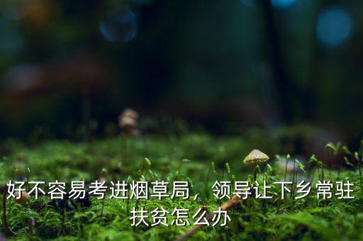 好不容易考進(jìn)煙草局，領(lǐng)導(dǎo)讓下鄉(xiāng)常駐扶貧怎么辦