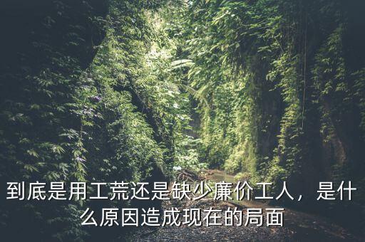 到底是用工荒還是缺少廉價工人，是什么原因造成現(xiàn)在的局面