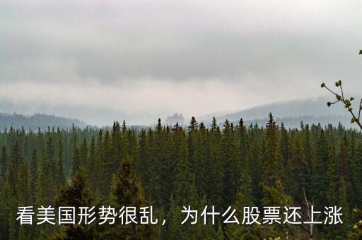 看美國形勢很亂，為什么股票還上漲