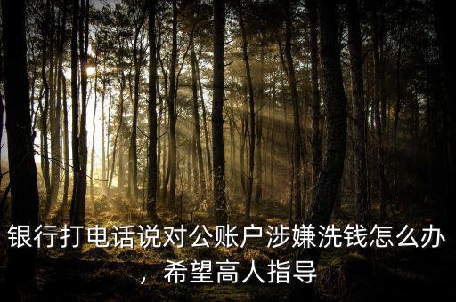 銀行打電話說對公賬戶涉嫌洗錢怎么辦，希望高人指導(dǎo)