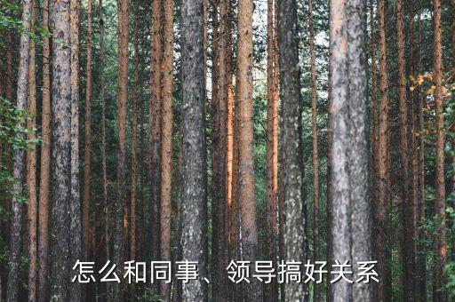 怎么和同事、領(lǐng)導(dǎo)搞好關(guān)系