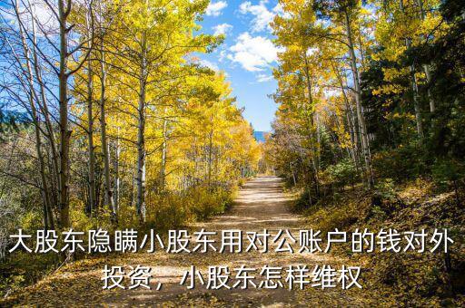 大股東隱瞞小股東用對公賬戶的錢對外投資，小股東怎樣維權(quán)