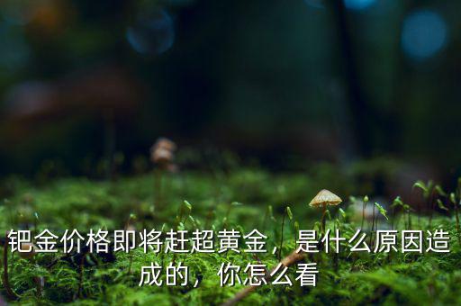 鈀金價(jià)格即將趕超黃金，是什么原因造成的，你怎么看