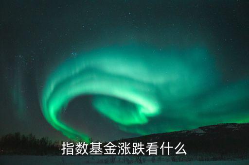 基金看什么消息判斷,基金長期表現(xiàn)看什么指標