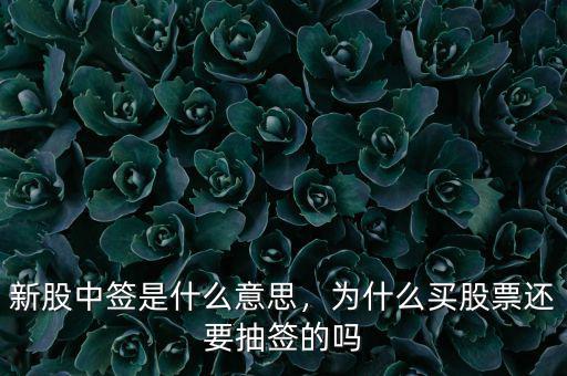 新股中簽是什么意思，為什么買股票還要抽簽的嗎