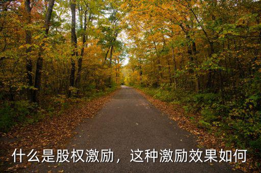 什么是股權(quán)激勵，這種激勵效果如何