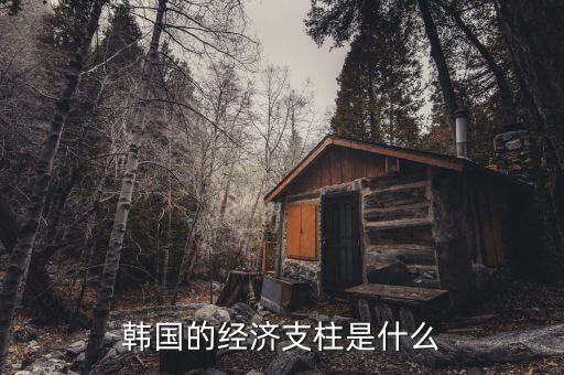 韓國經濟靠什么,韓國的經濟支柱是什么