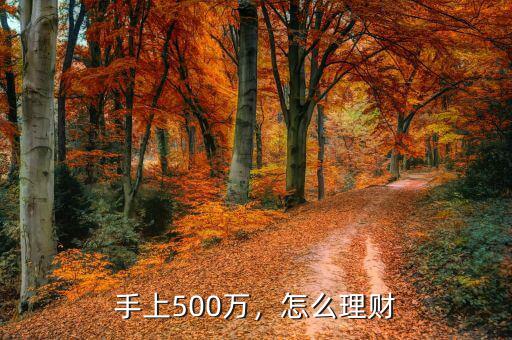 手上500萬，怎么理財