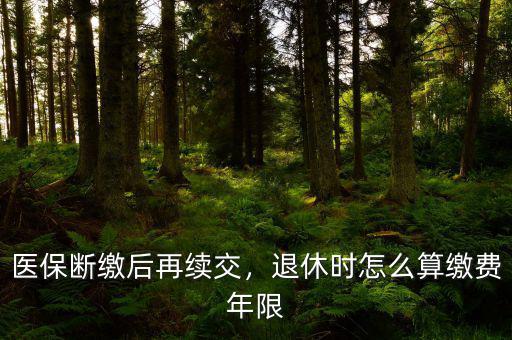 醫(yī)保斷繳后再續(xù)交，退休時(shí)怎么算繳費(fèi)年限