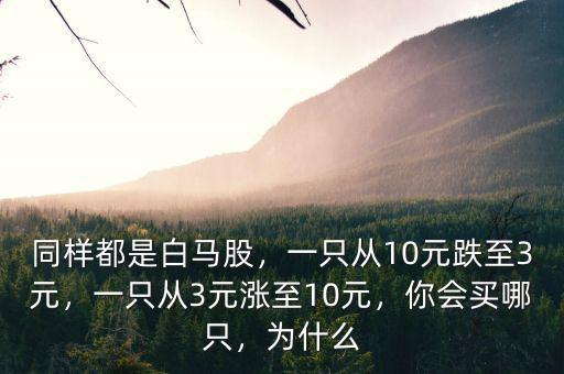 同樣都是白馬股，一只從10元跌至3元，一只從3元漲至10元，你會(huì)買哪只，為什么