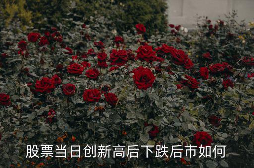 一只股票創(chuàng)新高后市怎么走,對(duì)于一只創(chuàng)新高的股票