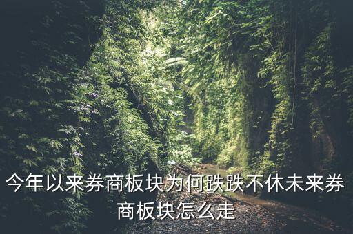 今日券商指數怎么,后面券商走勢怎么看