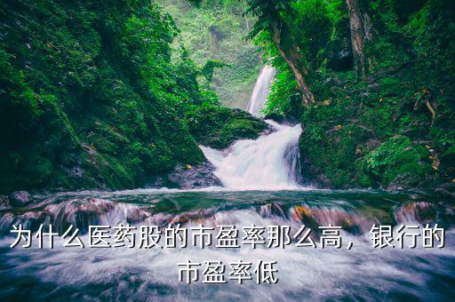 為什么醫(yī)藥股的市盈率那么高，銀行的市盈率低