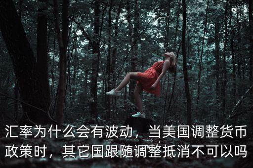 匯率為什么會(huì)有波動(dòng)，當(dāng)美國(guó)調(diào)整貨幣政策時(shí)，其它國(guó)跟隨調(diào)整抵消不可以嗎