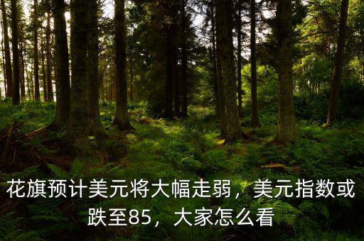 花旗預(yù)計(jì)美元將大幅走弱，美元指數(shù)或跌至85，大家怎么看