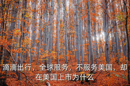 滴滴出行，全球服務(wù)，不服務(wù)美國，卻在美國上市為什么