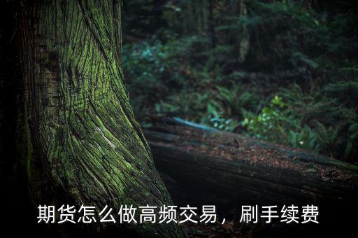 期貨怎么做高頻交易，刷手續(xù)費(fèi)
