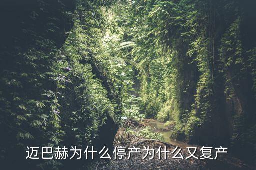 邁巴赫為什么停產為什么又復產
