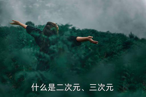 什么是二次元、三次元