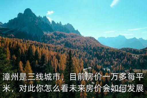 漳州是三線城市，目前房?jī)r(jià)一萬(wàn)多每平米，對(duì)此你怎么看未來(lái)房?jī)r(jià)會(huì)如何發(fā)展
