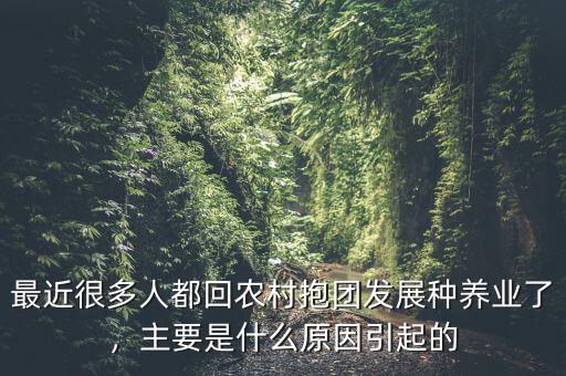 最近很多人都回農(nóng)村抱團(tuán)發(fā)展種養(yǎng)業(yè)了，主要是什么原因引起的