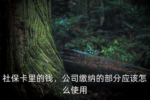 公司交的社保怎么用,社?？ɡ锏腻X