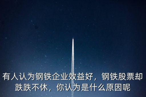 有人認為鋼鐵企業(yè)效益好，鋼鐵股票卻跌跌不休，你認為是什么原因呢