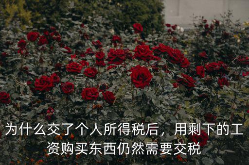為什么交了個(gè)人所得稅后，用剩下的工資購(gòu)買東西仍然需要交稅