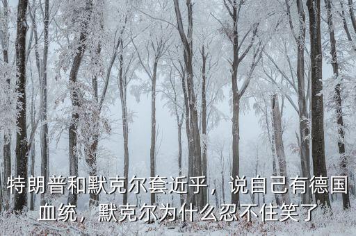 特朗普和默克爾套近乎，說自己有德國血統(tǒng)，默克爾為什么忍不住笑了