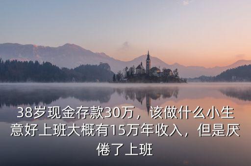 38歲現(xiàn)金存款30萬(wàn)，該做什么小生意好上班大概有15萬(wàn)年收入，但是厭倦了上班