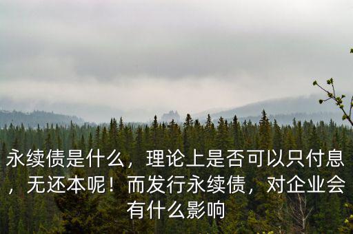 永續(xù)債是什么，理論上是否可以只付息，無(wú)還本呢！而發(fā)行永續(xù)債，對(duì)企業(yè)會(huì)有什么影響
