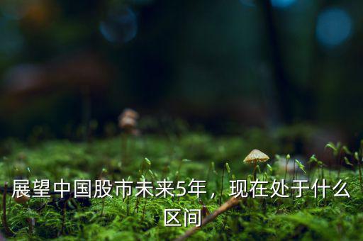 展望中國(guó)股市未來(lái)5年，現(xiàn)在處于什么區(qū)間