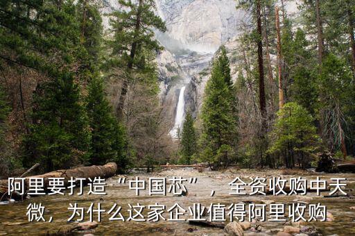 阿里要打造“中國芯”，全資收購中天微，為什么這家企業(yè)值得阿里收購