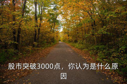 股市突破3000點(diǎn)，你認(rèn)為是什么原因