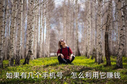 如果有幾個手機號，怎么利用它賺錢