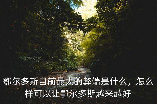 鄂爾多斯目前最大的弊端是什么，怎么樣可以讓鄂爾多斯越來越好