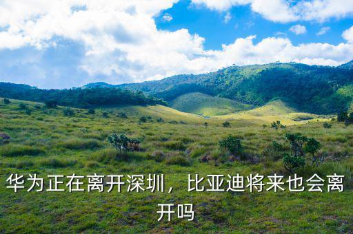 夏佐全為什么離開比亞迪,比亞迪將來(lái)也會(huì)離開嗎