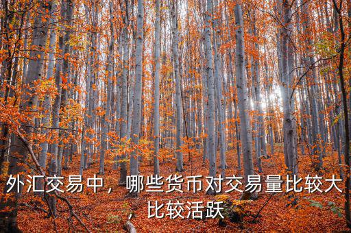 外匯交易中，哪些貨幣對交易量比較大，比較活躍