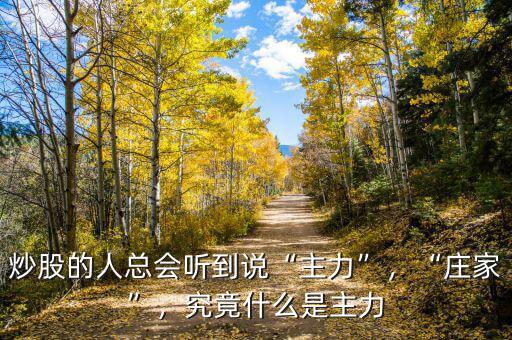炒股的人總會聽到說“主力”，“莊家”，究竟什么是主力