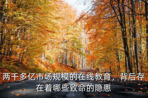 兩千多億市場規(guī)模的在線教育，背后存在著哪些致命的隱患
