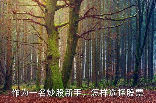 作為一名炒股新手，怎樣選擇股票