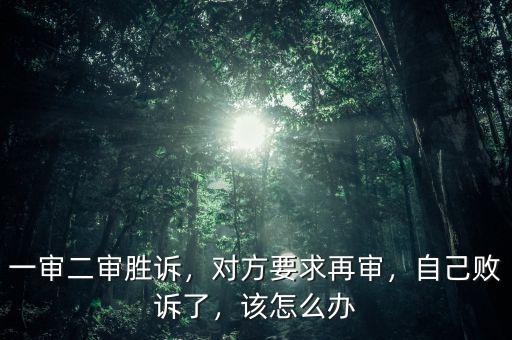 一審二審勝訴，對方要求再審，自己敗訴了，該怎么辦
