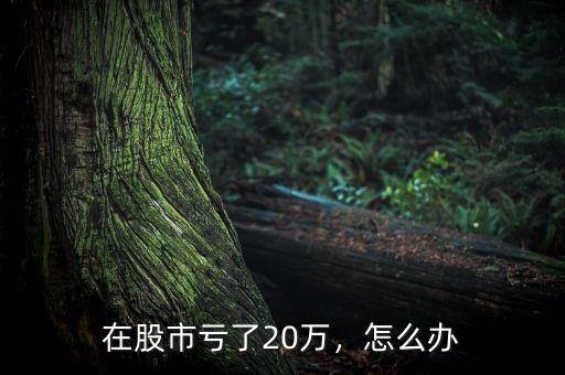在股市虧了20萬(wàn)，怎么辦